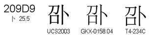 U+209D9